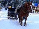 HARRACHOV - KRKONOŠE